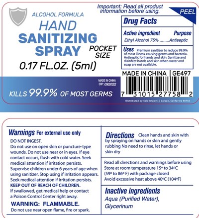 Label Image (Hand Sanitizing Spray 5 mL 75vv)